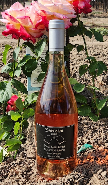 Bottle of the 2020 Pinot Noir Rose on the ground in the vineyard