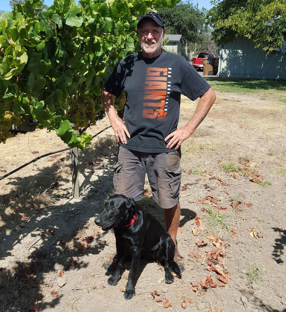 Winemaker Steve Beresini standing by a vine with Corleone the dog