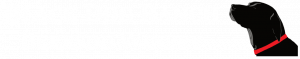 Black Dog Ranch logo